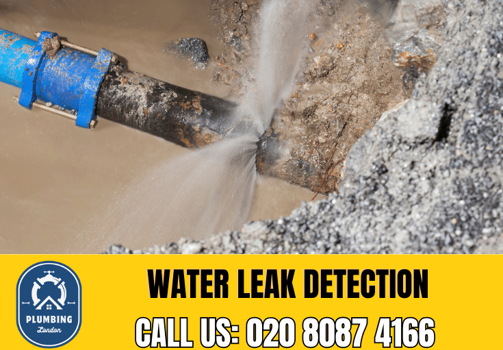 leak detection Peckham