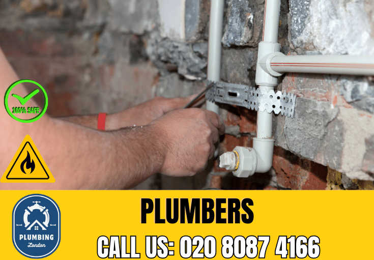  plumber Nunhead